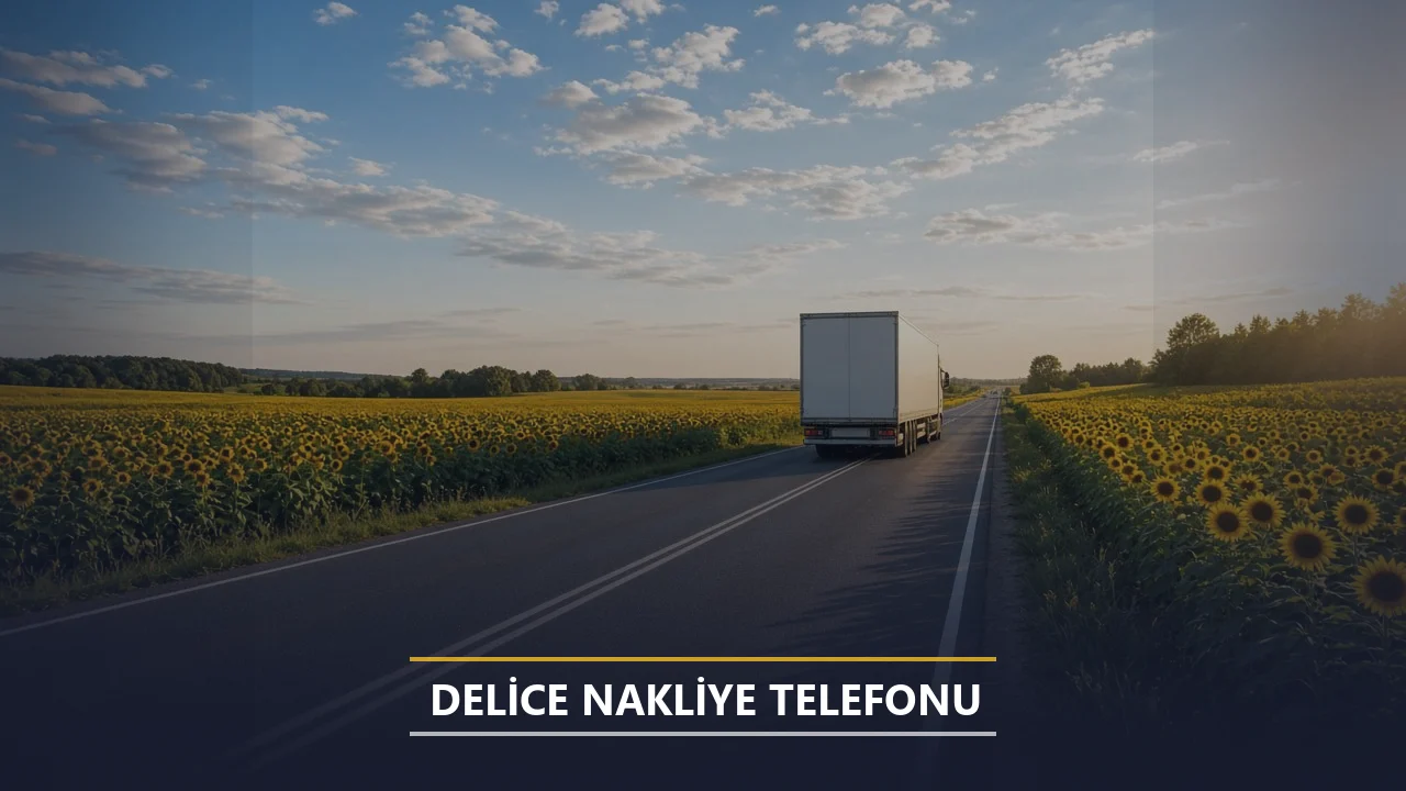 Delice Nakliye Telefonu